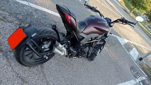 Benelli 502 C (2021 - 25)  (5)