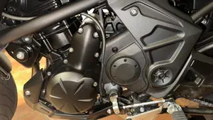 Kawasaki Versys 650 (2021 - 24)  (9)