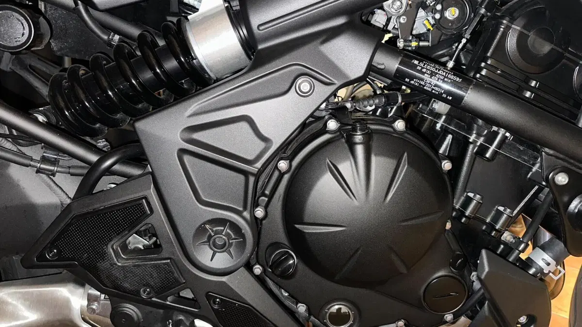 Kawasaki Versys 650 (2021 - 24)  (8)