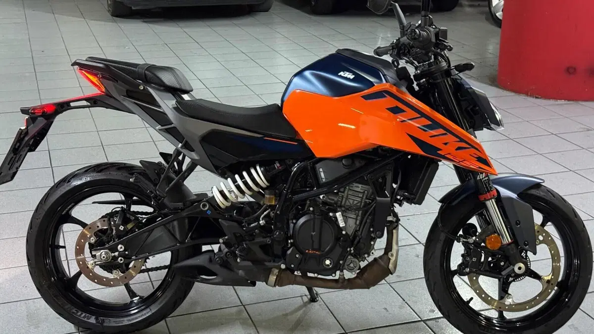 KTM 125 Duke (2024 - 25)  (6)