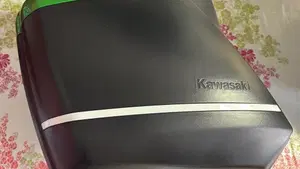 Kawasaki Versys 650 (2021 - 24)  (12)
