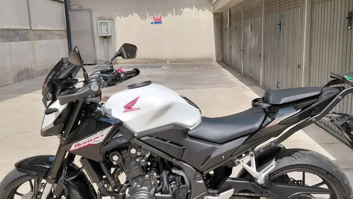Honda CB 500 Hornet (2024 - 25)  (6)