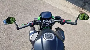 Kawasaki Z 500 SE (2024 - 26)  (5)