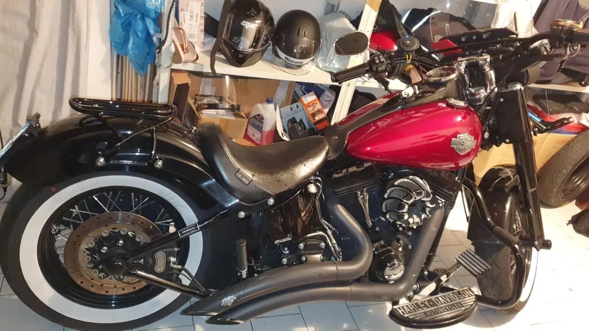 Harley-Davidson 1690 Slim (2011 - 16) - FLS  (2)