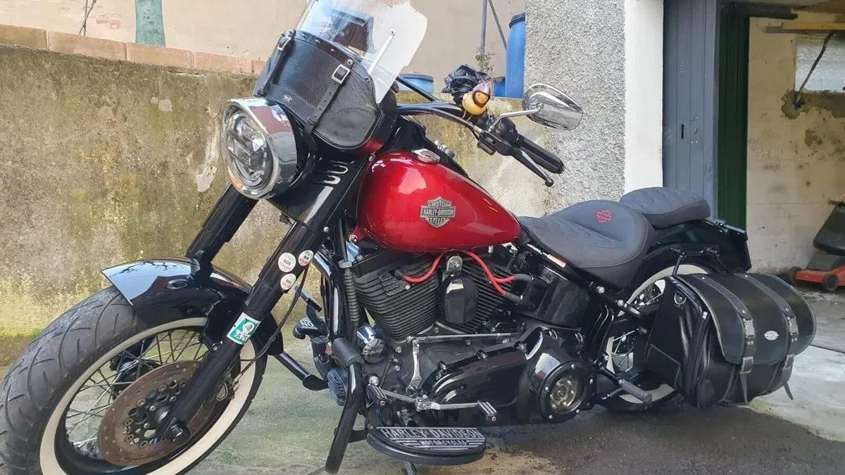 Harley-Davidson 1690 Slim (2011 - 16) - FLS  (5)
