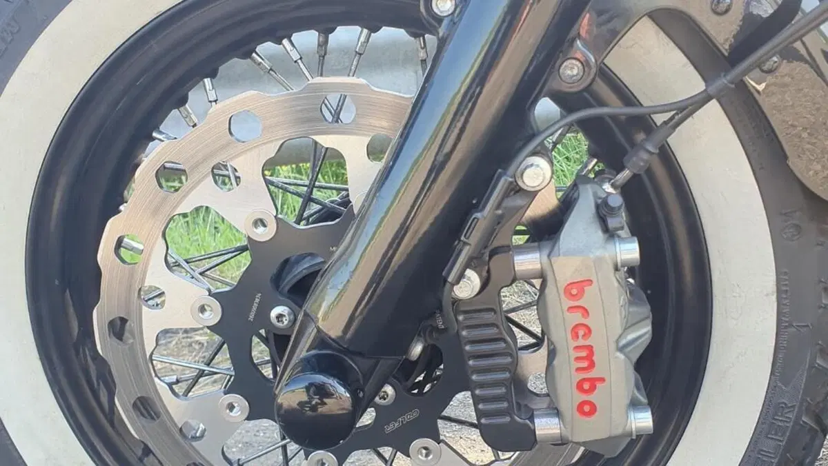 Harley-Davidson 1690 Slim (2011 - 16) - FLS  (6)