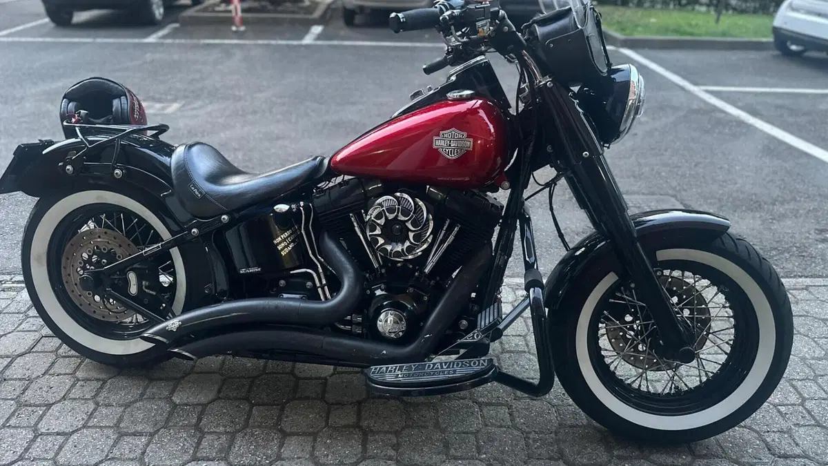 Harley-Davidson 1690 Slim (2011 - 16) - FLS  (7)