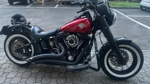 Harley-Davidson 1690 Slim (2011 - 16) - FLS  (7)