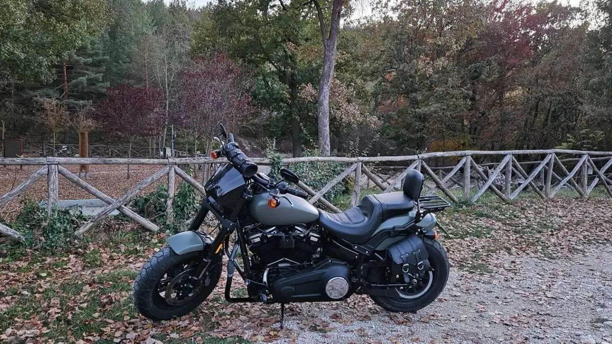 Harley-Davidson Fat Bob 114 (2021 - 25)  (2)