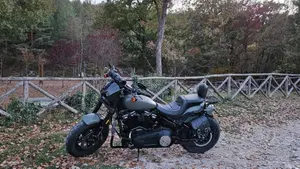 Harley-Davidson Fat Bob 114 (2021 - 25)  (2)