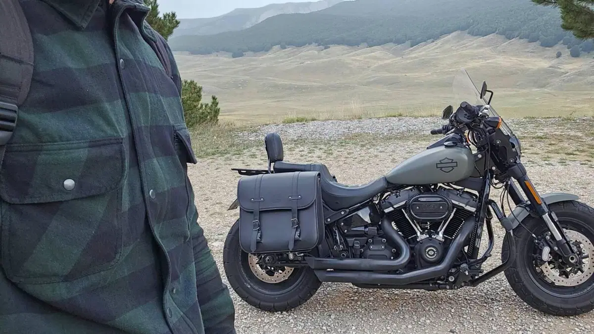 Harley-Davidson Fat Bob 114 (2021 - 25)  (5)