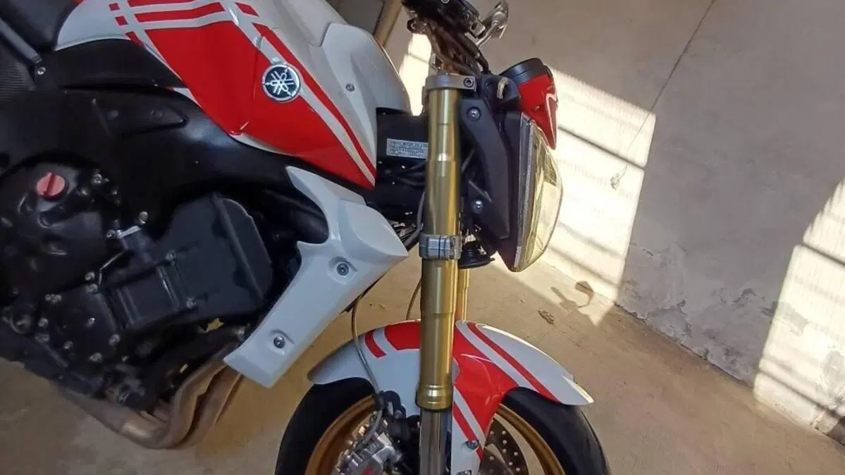 Yamaha FZ1 (2006 - 16)  (6)