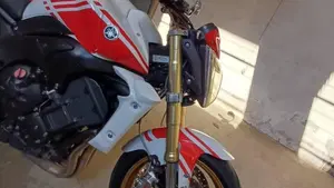 Yamaha FZ1 (2006 - 16)  (6)