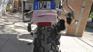 Ducati Multistrada 1200 Enduro (2016 - 18)  (8)
