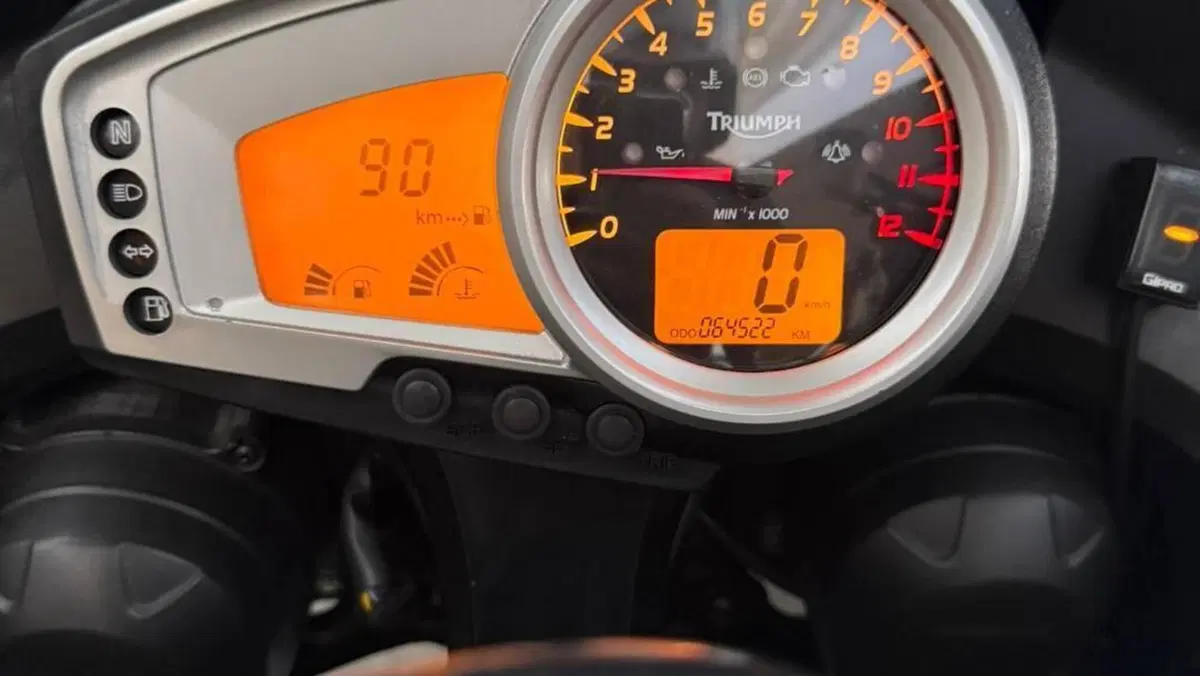 Triumph Tiger 1050 ABS (2006 - 12)  (6)