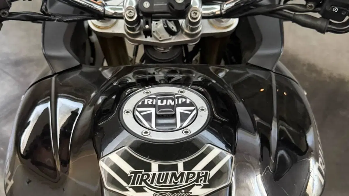 Triumph Tiger 1050 ABS (2006 - 12)  (7)