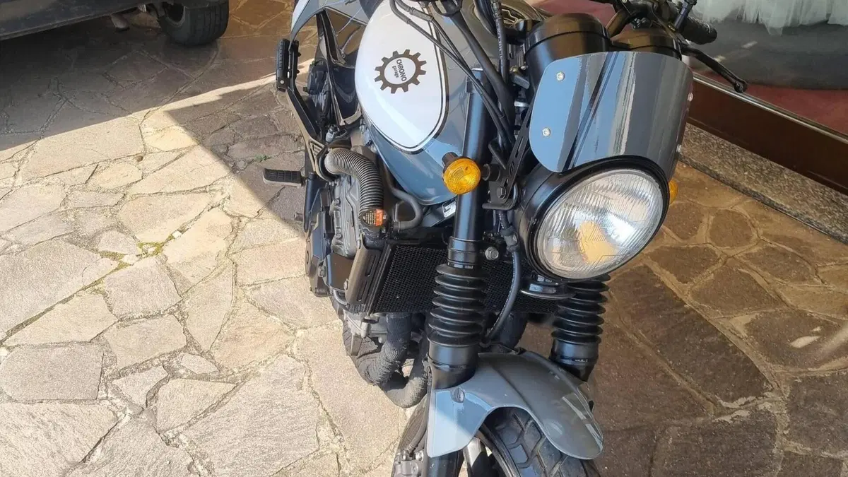 Honda Hornet 600 (2000 - 02) 