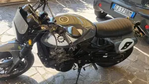 Honda Hornet 600 (2000 - 02)  (3)