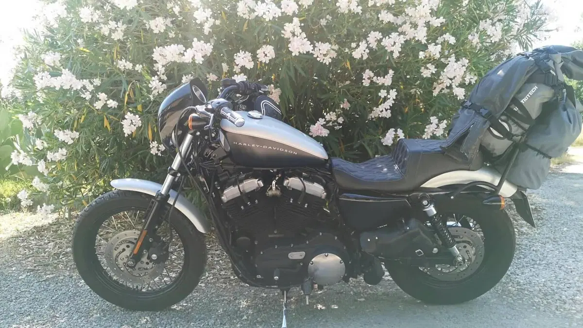 Harley-Davidson XL 1200N Nightster (2008 - 12)  (2)
