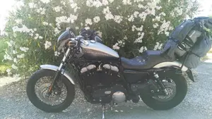 Harley-Davidson XL 1200N Nightster (2008 - 12)  (2)