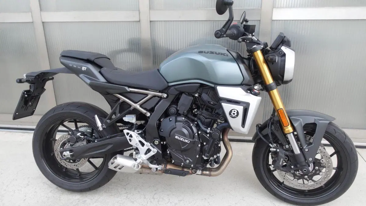 Suzuki GSX-8T (2025 - 26)  (2)