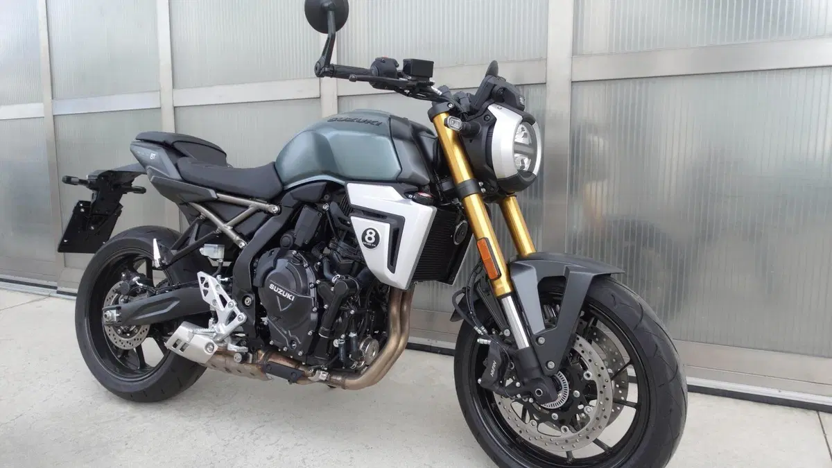 Suzuki GSX-8T (2025 - 26)  (5)