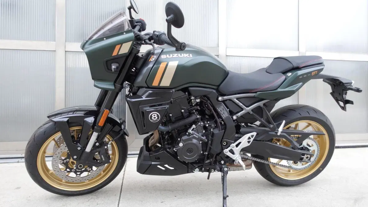 Suzuki GSX-8TT (2025 - 26)  (4)