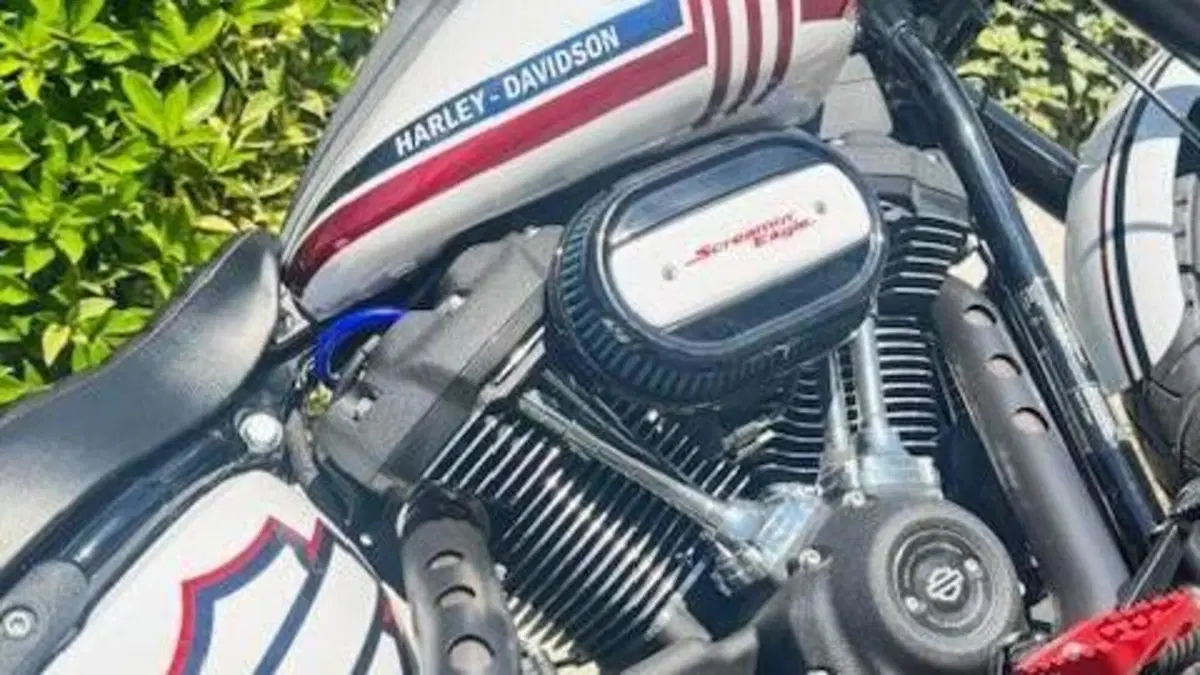 Harley-Davidson 114 Low Rider S (2021) - FXLRS  (5)
