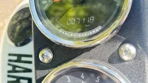 Harley-Davidson 114 Low Rider S (2021) - FXLRS  (8)