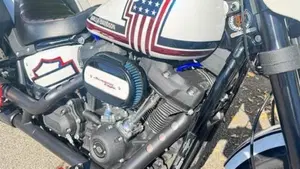 Harley-Davidson 114 Low Rider S (2021) - FXLRS  (10)
