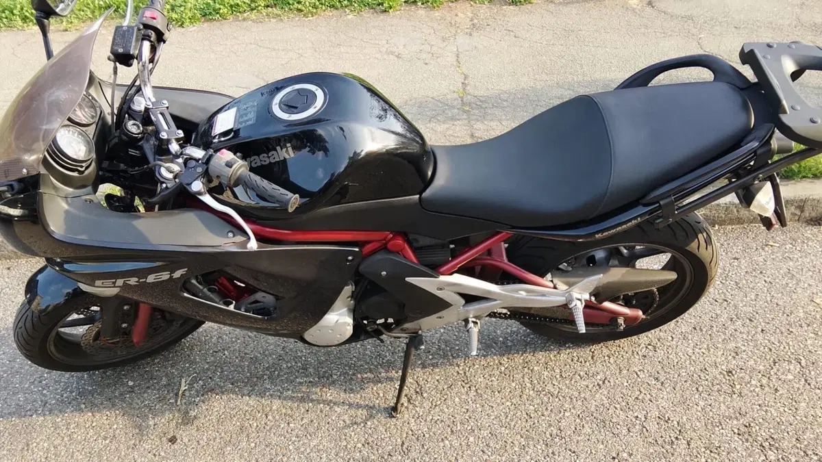 Kawasaki ER-6F (2006 - 08)  (7)