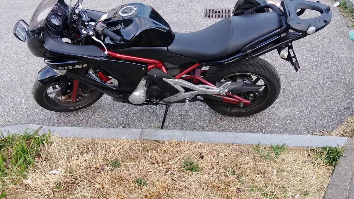 Kawasaki ER-6F (2006 - 08)  (9)