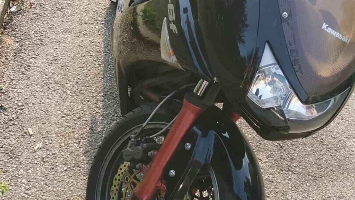 Kawasaki ER-6F (2006 - 08)  (11)