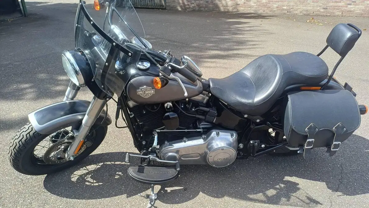 Harley-Davidson 1690 Slim (2011 - 16) - FLS 