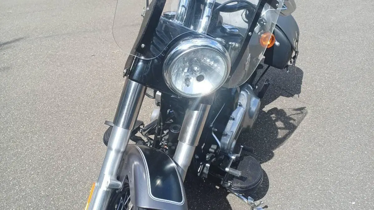 Harley-Davidson 1690 Slim (2011 - 16) - FLS  (2)