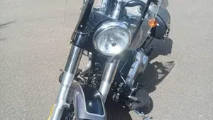 Harley-Davidson 1690 Slim (2011 - 16) - FLS  (2)