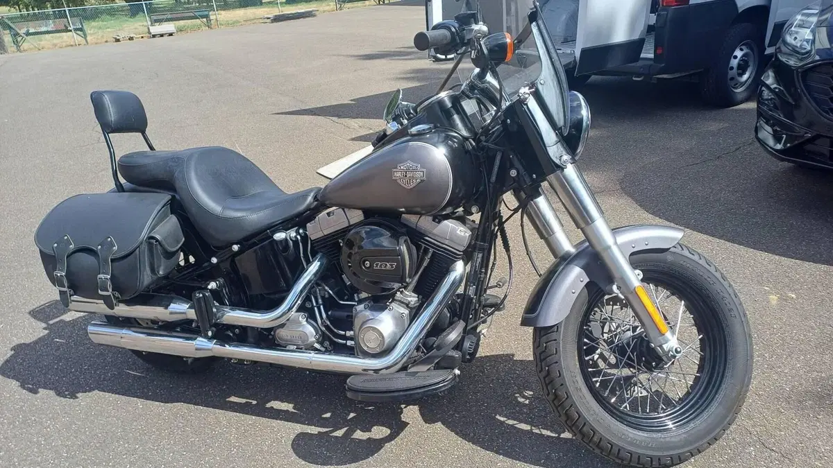 Harley-Davidson 1690 Slim (2011 - 16) - FLS  (3)