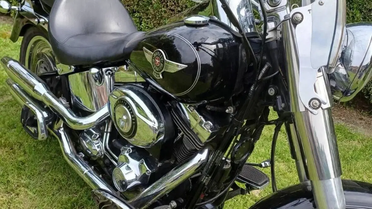 Harley-Davidson 1690 Fat Boy Special (2010 - 17) - FLSTF  (2)