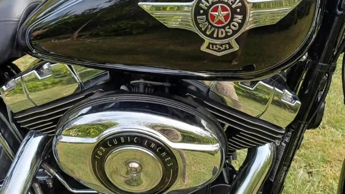 Harley-Davidson 1690 Fat Boy Special (2010 - 17) - FLSTF  (3)