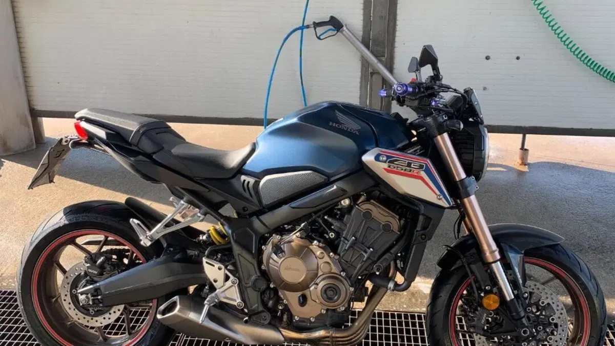 Honda CB 650 R (2019 - 20)  (6)