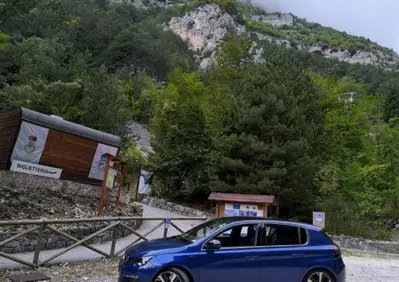 Peugeot 308 BlueHDi 180 S&S EAT8 GT (4)