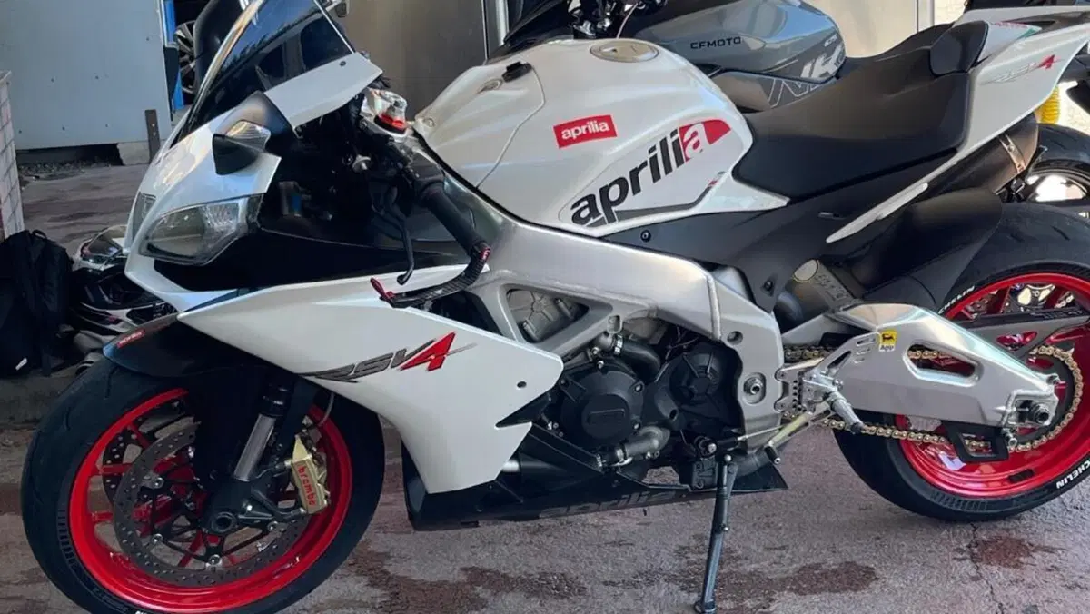 Aprilia RSV4 R (2009 - 12)  (4)