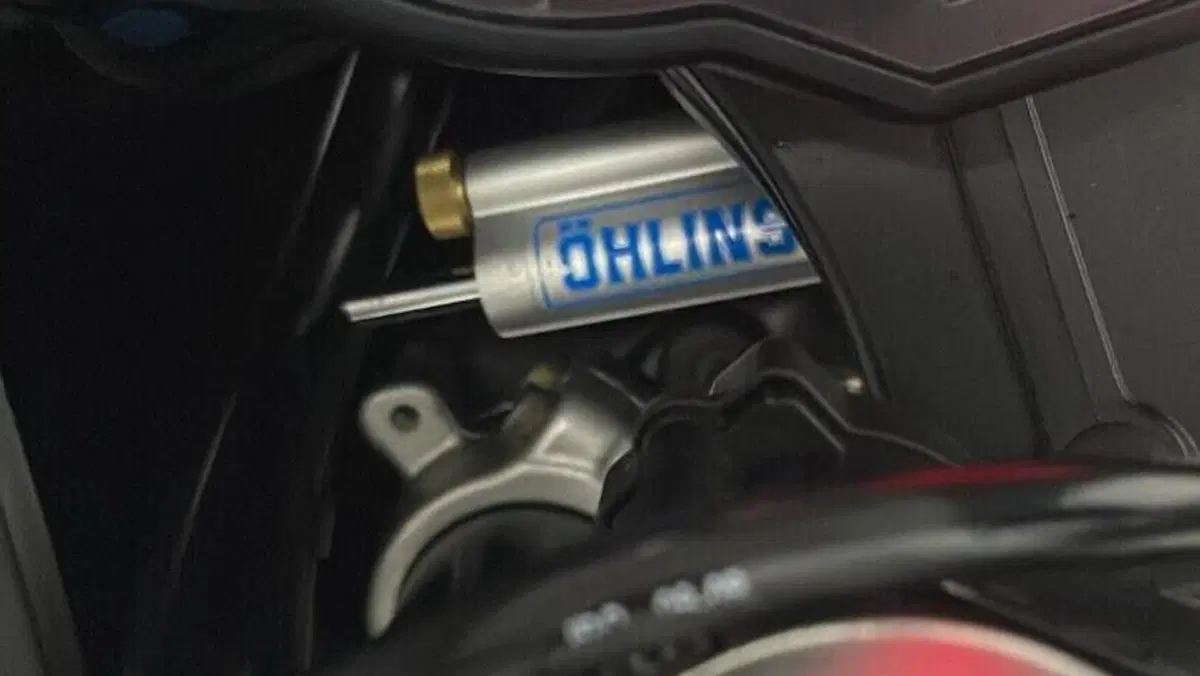 Aprilia RSV4 R (2009 - 12)  (5)