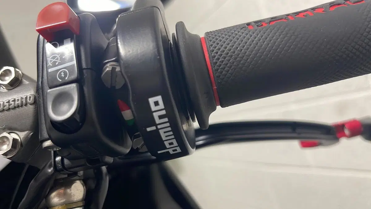 Aprilia RSV4 R (2009 - 12)  (6)
