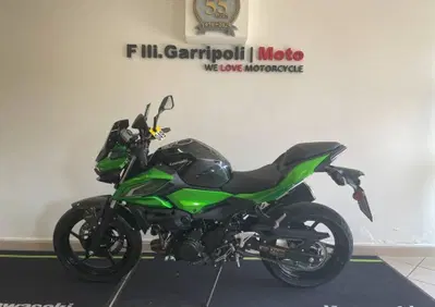 Kawasaki Z 500 (2024 - 26) - Annuncio 10112353