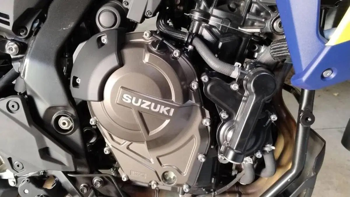 Suzuki V-Strom 800DE (2023 - 24)  (4)