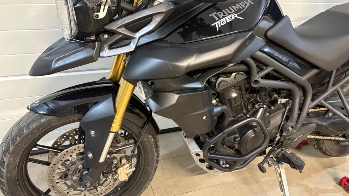Triumph Tiger 800 ABS (2010 - 14)  (8)