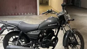 Senke SK125 Custom (2017 - 20)  (2)