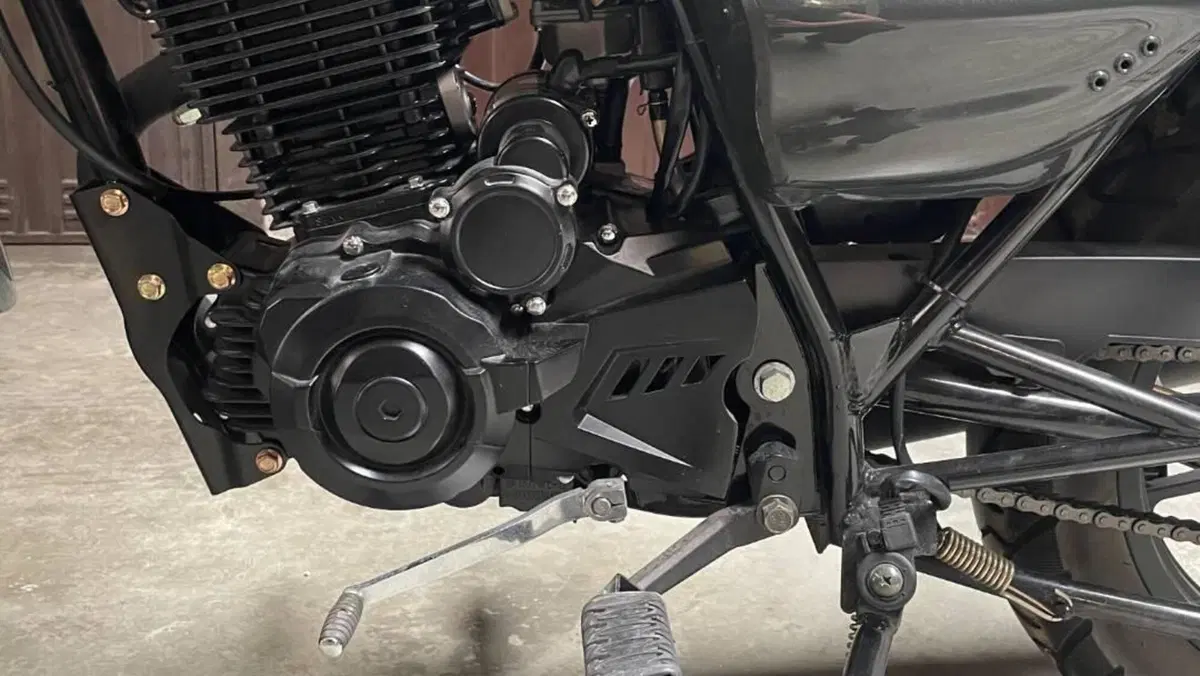 Senke SK125 Custom (2017 - 20)  (6)