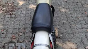 Moto Guzzi   (5)